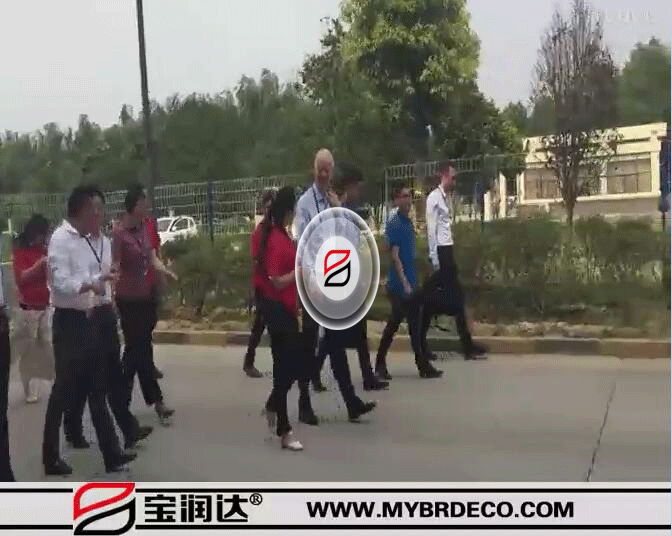 德國前國防部長魯道夫.沙爾平及市長一行參觀考察寶潤達_高清